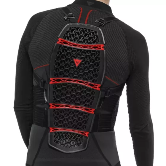 Dorsale autonome DAINESE PRO-ARMOR 2_0 Long (+de174cm)