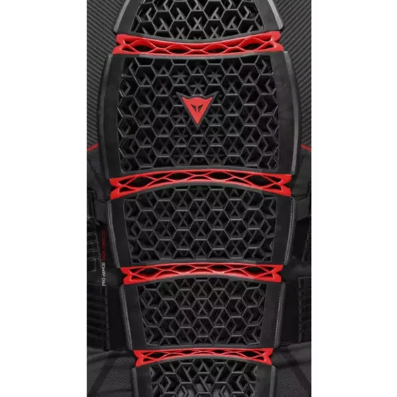 Dorsale autonome DAINESE PRO-ARMOR 2_0 Long (+de174cm)