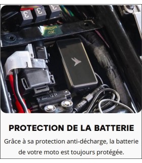 Traceur antivol GPS Pegase Flashbird - degriffbike.ch