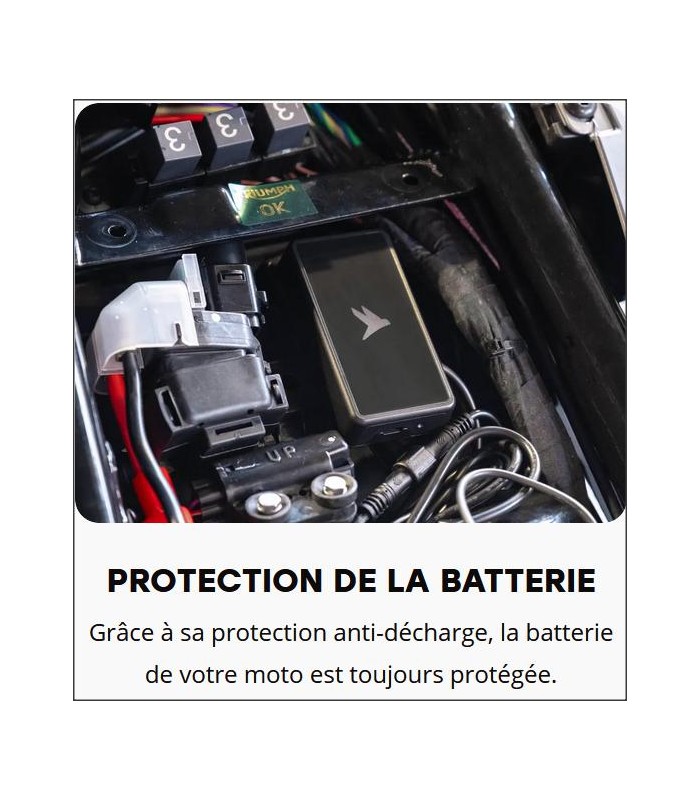 Traceur antivol GPS Pegase Flashbird - degriffbike.ch